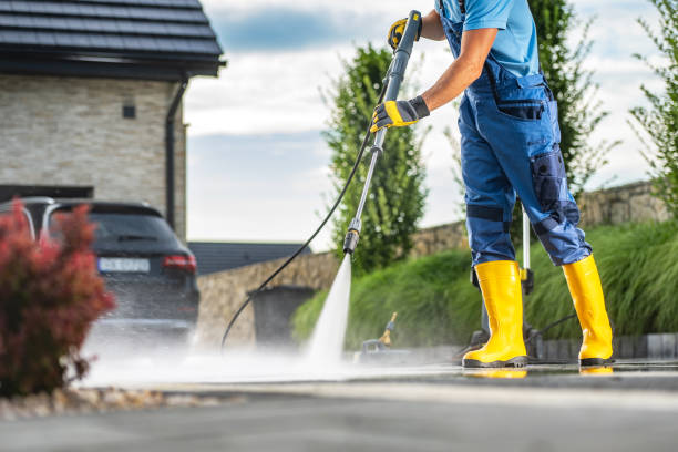 Professional Pressure Washing Services in Demopolis, AL